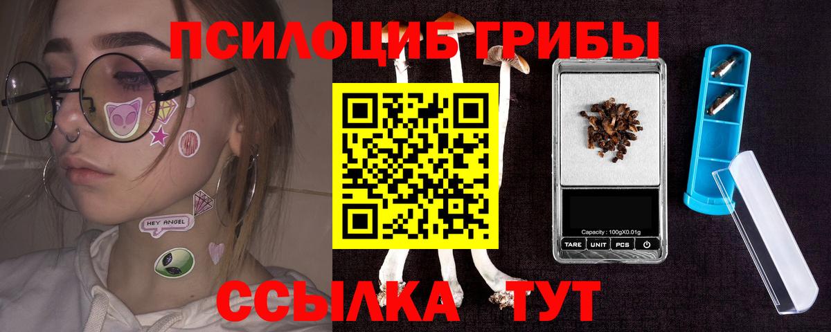Галлюциногенные грибы GOLDEN TEACHER  купить  сайты  Усть-Кут  Вход с VPN 