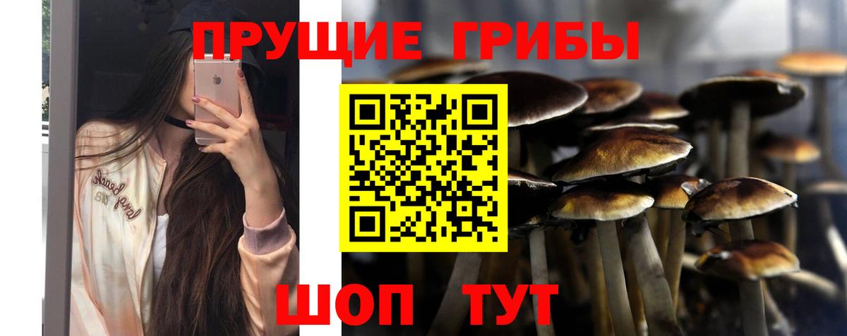 Галлюциногенные грибы Magic Shrooms Усть-Кут