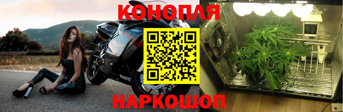 Бошки Шишки сатива  Вход с VPN  Усть-Кут  Каннабис THC 21%  Марихуана марихуана  МАРИХУАНА тримм 